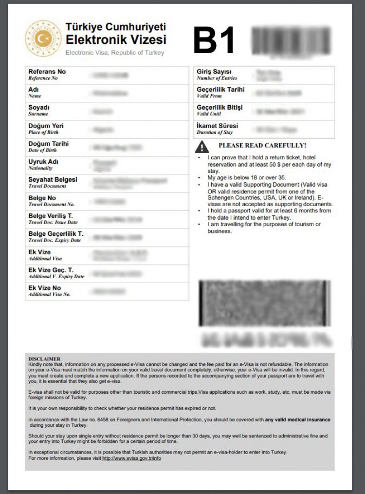 sample turkey visa