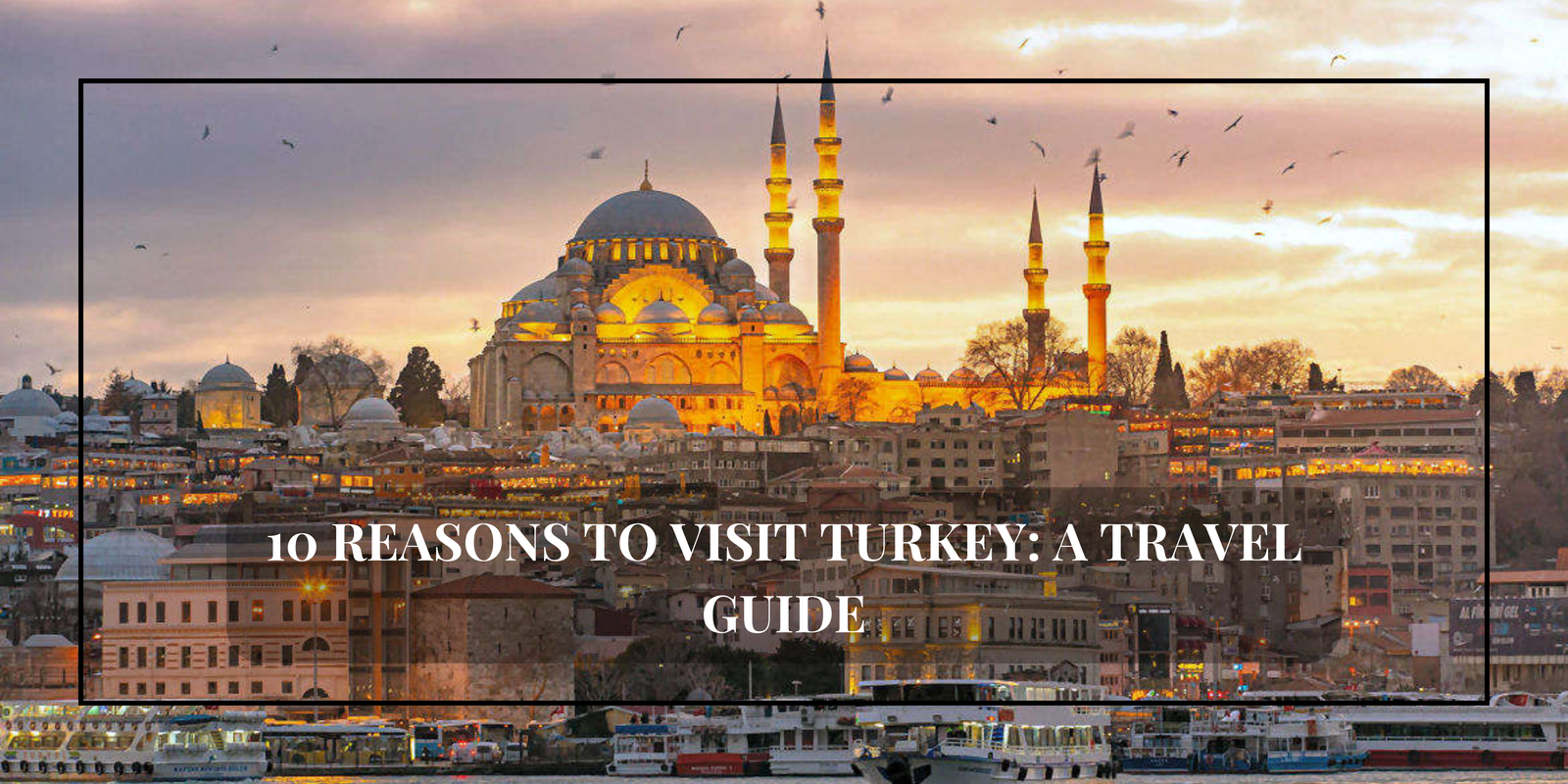 Travel Explore the World (Banner (Landscape)) (1)