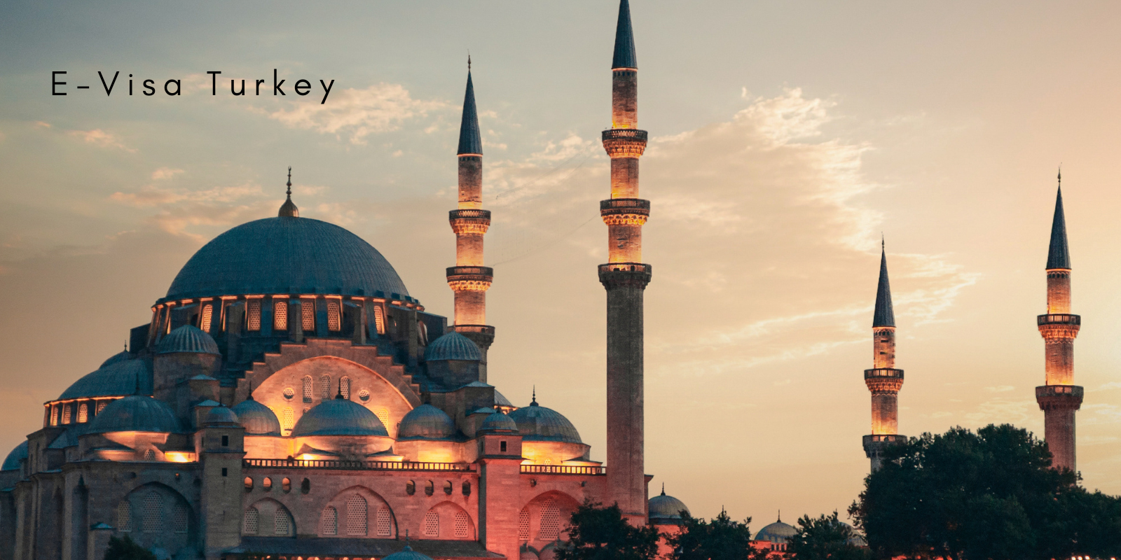 E-visa Turkey