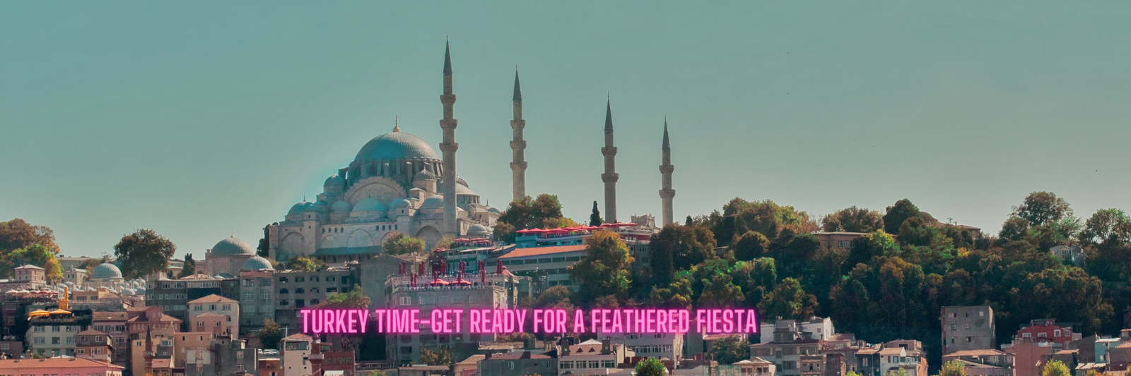 Travel with e-Visa Turkey