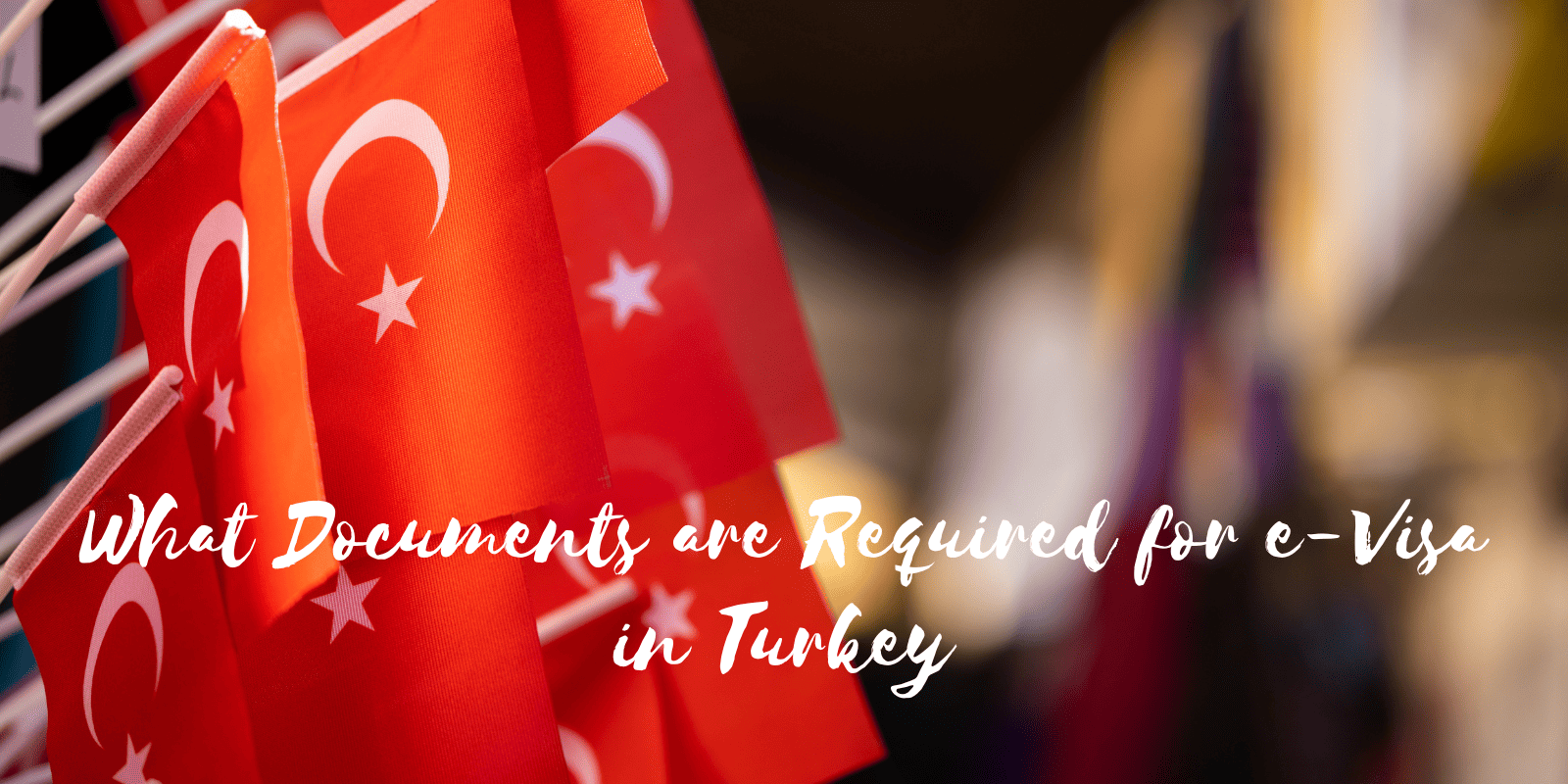 e-visa Turkey