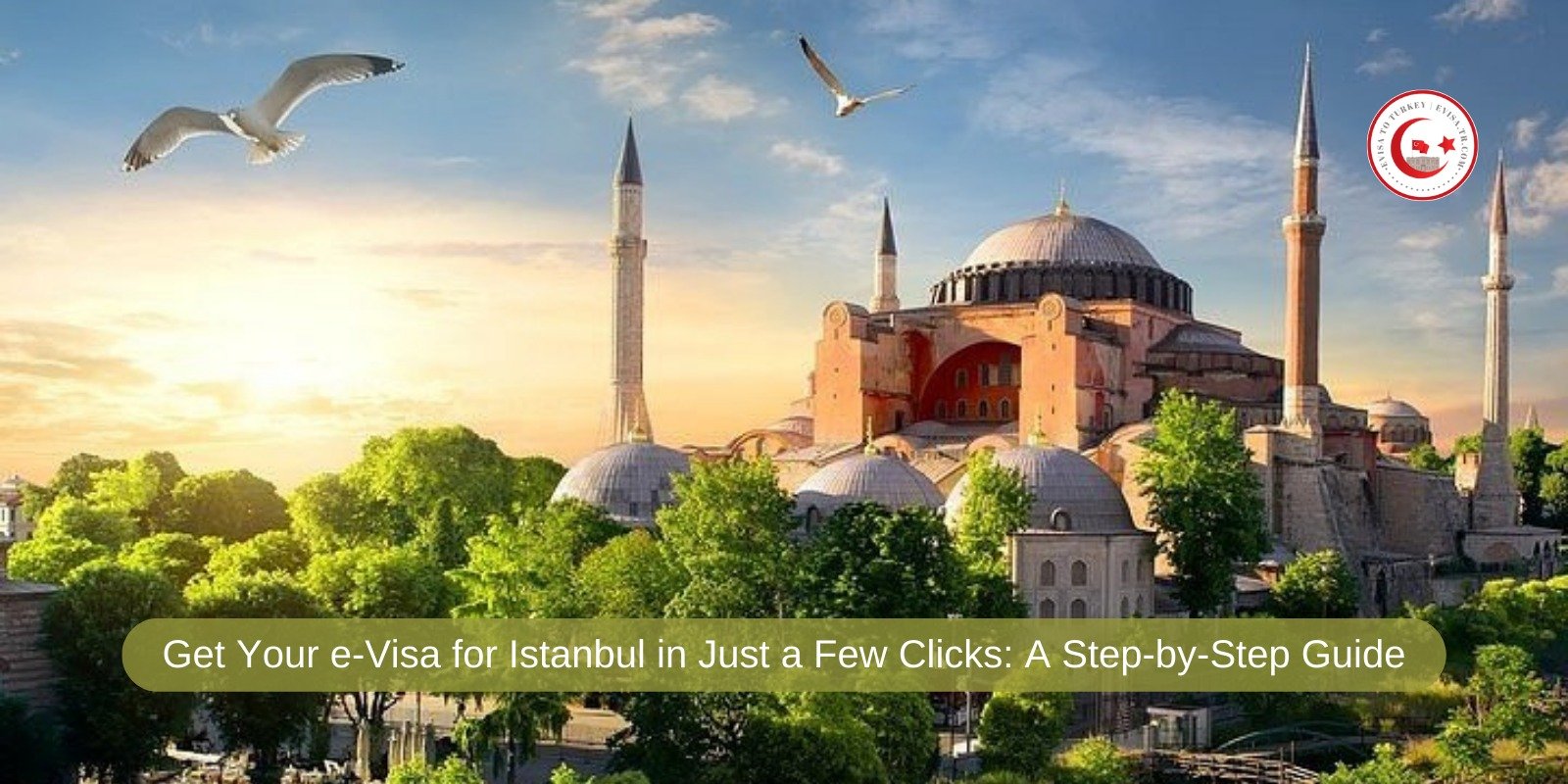 e Visa Istanbul