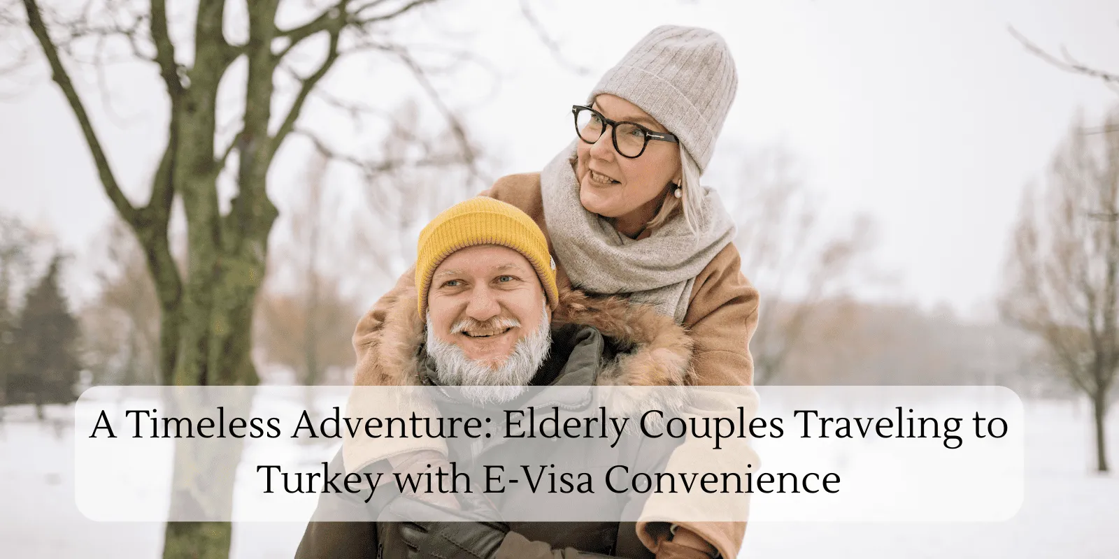 Apply e-visa Turkey