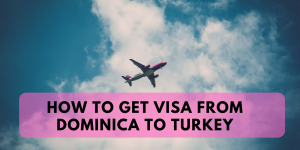 How to Get Visa From Dominica to Turkey