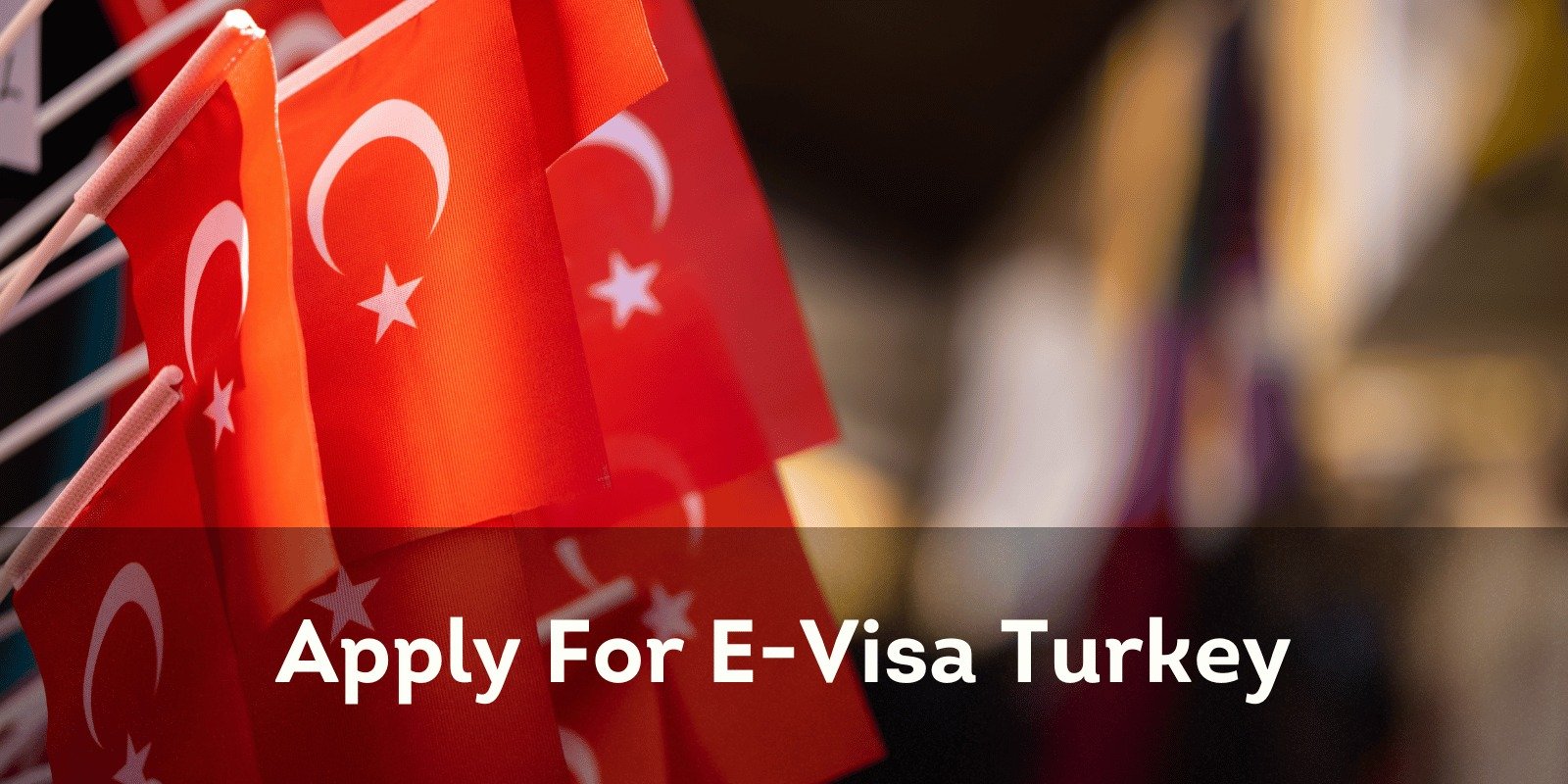 Apply For E-Visa Turkey